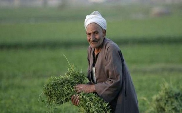 الاحد .. الاعلان عن مبادة ' لست وحدك ' لدعم المزارع المصرى 